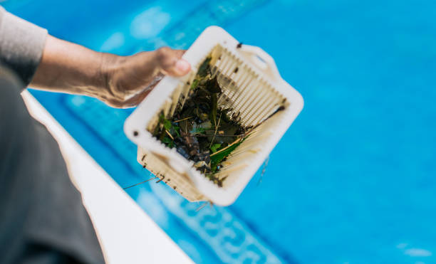 Best Trash Removal Near Me  in Home Garden, CA